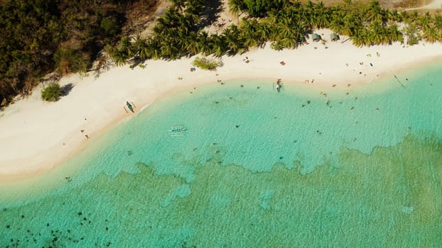 aerial seascape tourists enjoy tropical beach. tropical island with sand beach, palm trees. Malcapuya, Philippines, Palawan. Tropical landscape with blue lagoon, coral reef