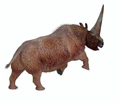 Elasmotherium was a herbivorous rhinoceros mammal that had a large horn on it's forehead and lived during the Pliocene and Pleistocene periods.