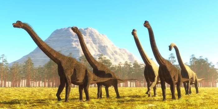 Brachiosaurus was a tall herbivorous sauropod that lived during the Jurassic Period of North America.