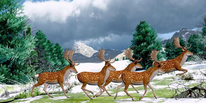 A herd of Fallow deer bucks run together in an evergreen forest in Europe during the Pleistocene Period.