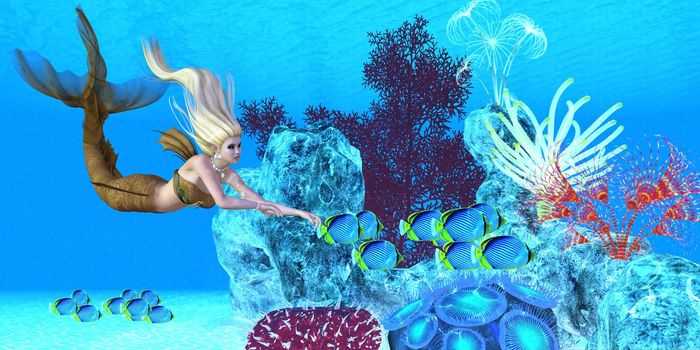 A beautiful golden mermaid swims with a school of Black-backed Butterfly fish over a colorful reef.