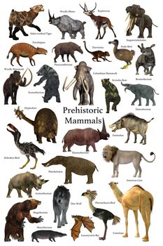 A collection of some of the better known mammals that lived during the Cenozoic Era.