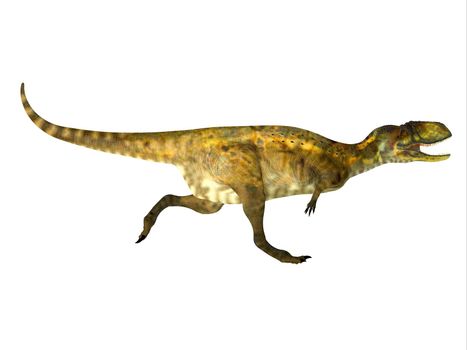 Abelisaurus was a theropod carnivorous dinosaur that lived during the Cretaceous Period of Argentina.