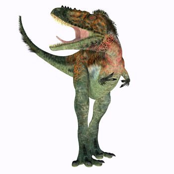 Alioramus remotus was a theropod carnivorous dinosaur that lived Mongolia during the Cretaceous Period.