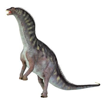 Amargasaurus was a sauropod herbivorous dinosaur that lived in Argentina during the Cretaceous Period.