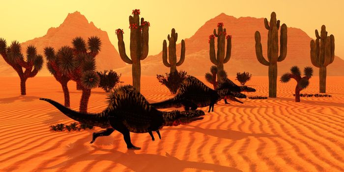 Three Arizonasaurus dinosaurs go hunting for prey at sunset in the Arizona desert in the Triassic Period.