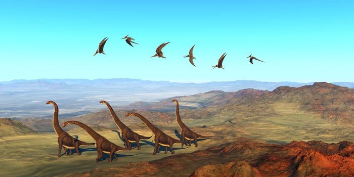 A herd of Giraffatitan dinosaurs walk on their yearly migration over an African extinct volcano as a flock of Pteranodons fly over them.