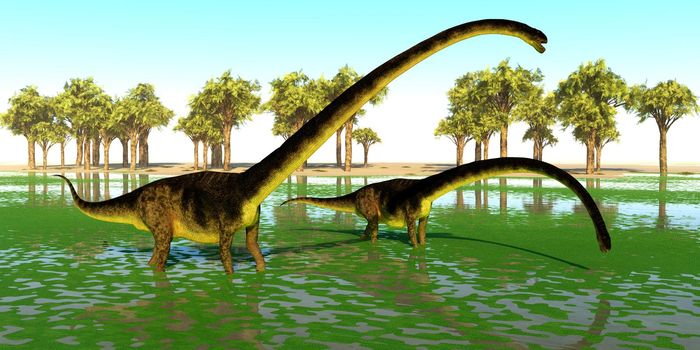 Two Omeisaurus dinosaurs eat water plants for the mineral content during the Jurassic Period of China.