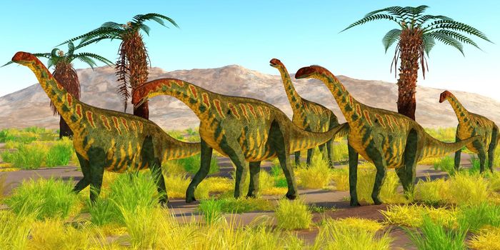 A herd of Jobaria dinosaurs travel together in the Sahara desert, Africa during the Jurassic Period.