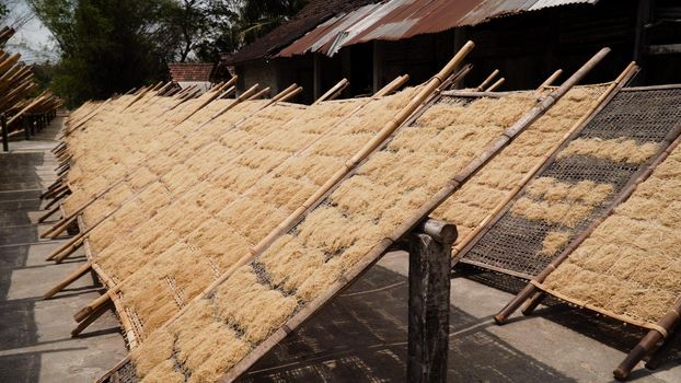 noodle drying in sun at noodle factory in indonesia Bantul, Yogyakarta, Indonesia