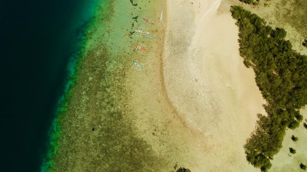 Tropical island and sandy beach with tourists surrounded by coral reef and blue sea in honda bay, aerial view. Island with sand bar and coral reef. starfish island. Summer and travel vacation concept, Philippines, Palawan