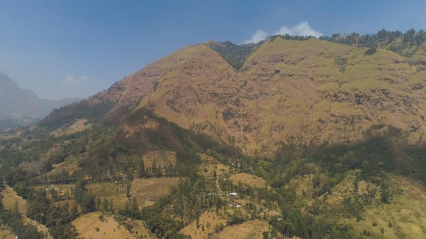 mountains with farmlands, village, fields with crops, trees. Aerial view mountain landscape slopes mountains covered with green forest. Java, Indonesia.