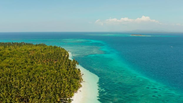 Tropical landscape: small island with beautiful beach, palm trees by turquoise water view from above. Patongong Island with sandy beach. Summer and travel vacation concept.