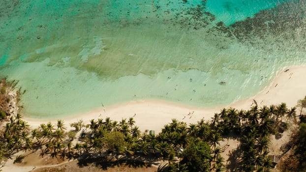 aerial view sandy beach on tropical island with palm trees and clear blue water. Malcapuya, Philippines, Palawan. Tropical landscape with blue lagoon, coral reef
