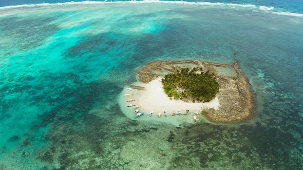 Tropical island in the ocean with palm trees on white sand beach. Guyam island, Philippines, Siargao. Summer and travel vacation concept