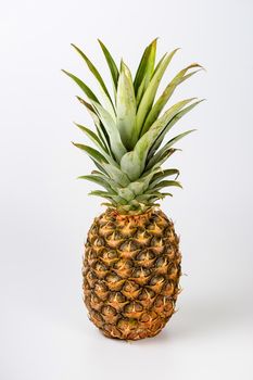 Fresh pineapple fruit on white background
