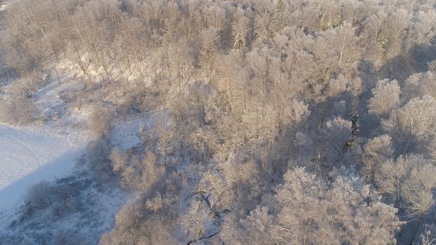 aerial view winter landscape forest covered snow, frost. Frozen branches with hoarfrost in winter forest on sunny day