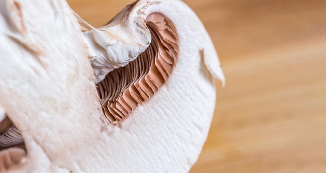 Close-up of a slice of edible mushroom Royal champignons on a cutting board. Delicious and healthy food concept.