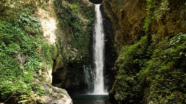 waterfall in green rainforest. tropical waterfall in mountain jungle. Bali,Indonesia. Travel concept.