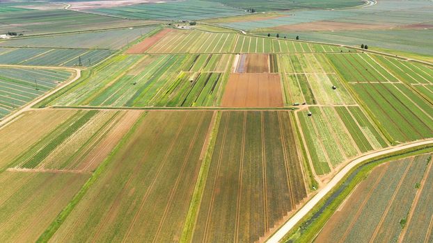 Green fields aerial view before harvest at summer. farm land with agricultural machinery.
