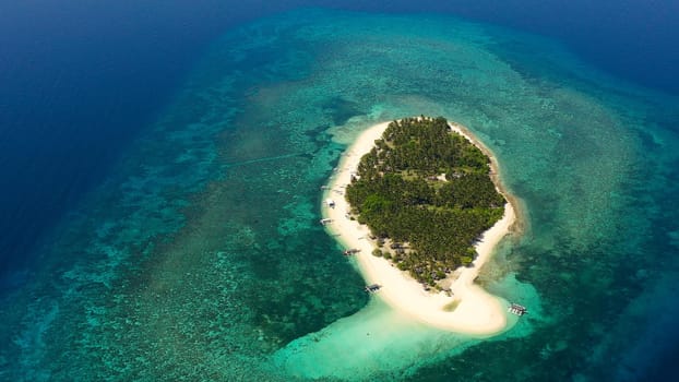 Tropical island with a beach and palm trees. Beautiful lagoon and white sandy beach, aerial view. Digyo Island.