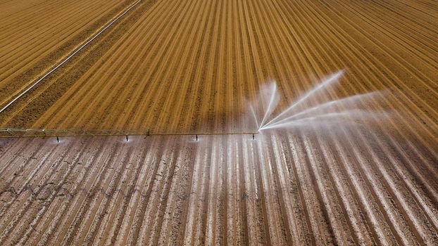 aerial view crop irrigation machine using center pivot sprinkler system. An irrigation pivot watering agricultural land. Irrigation system watering farm land.