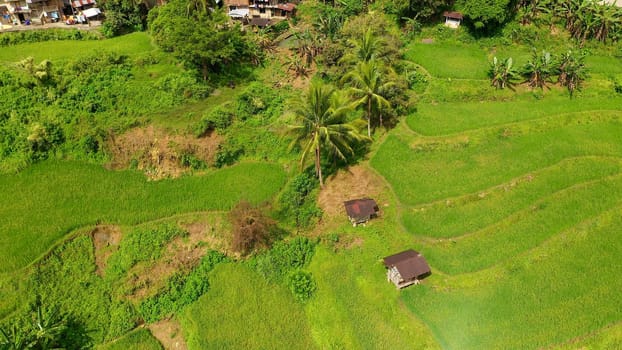 Rice terrace in Cordillera mountains, Luzon, Philippines. Growing rice in highlands, top view.