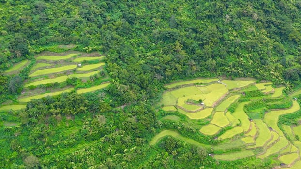 Bright landscape with rice terraces, view from above. Rice terraces in the Philippines. The village is in a valley among the rice terraces. Rice cultivation in the North of the Philippines,