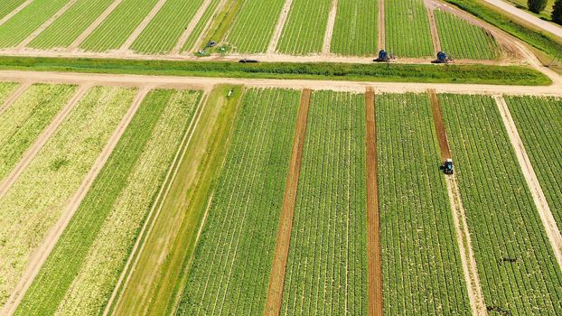 Farmlands with crops and agricultural machinery from above. Countryside with farmland.