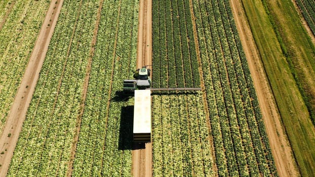 Green fields aerial view before harvest at summer. farm land with agricultural machinery.