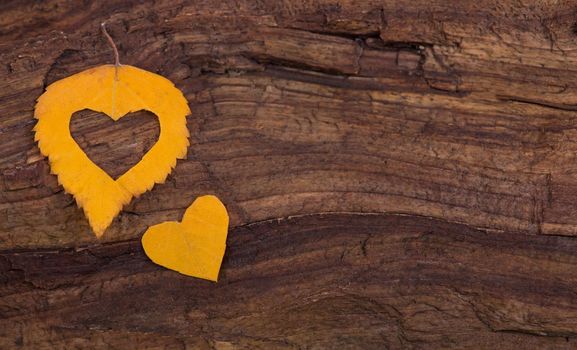 Colorful heart made of autumn leaves on a wooden background.