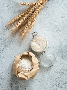 Wheat sourdough starter. Top view of bread making ingredients - glass jar with sourdough starter, flour in paper bag and ears over gray cement background. Copy space for text or design. Vertical.