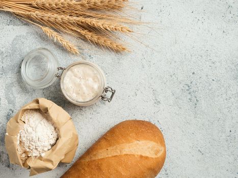 Wheat sourdough starter. Top view of bread making ingredients - glass jar with sourdough starter, flour in paper bag, baton and ears over gray cement background. Copy space for text or design.