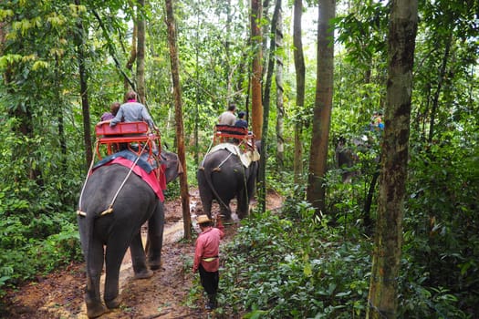 Tourists riding elephants in Thailand