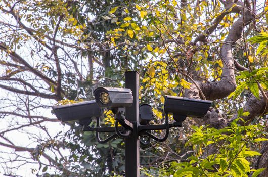 Modern surveillance cameras on the park background, the concept of surveillance and visual inspection that has been developed, Selective focus.