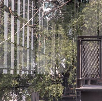 The details of tree branches and green leaf reflecting in the glass wall. Selective focus.