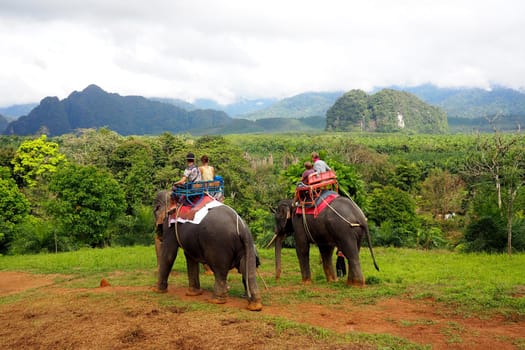 riding elephants in thailand