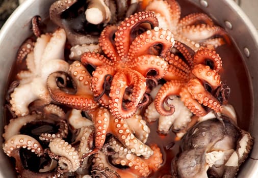 Pot of octopus cooking