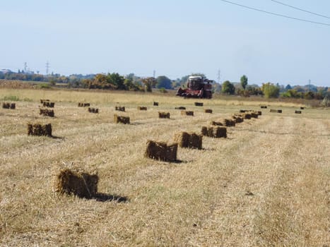 Agricultural field with straw bales after harvest.