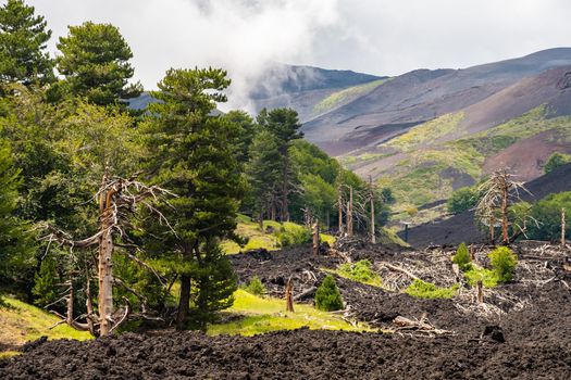 View of Etna volcano craters among the clouds near Piano Provenzana. Sicily, Italy