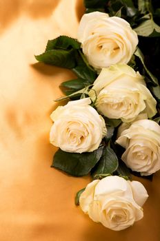 white roses on golden silk background