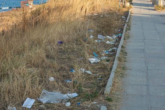 Garbage on the grass along the pedestrian sidewalk. Stock photo.