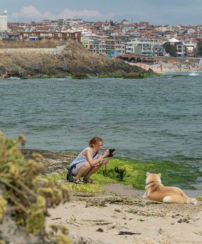 Bulgaria, SOZOPOL - 2018, 06 September: A woman photographs a dog on a rocky beach, blurred background. Stock photo.