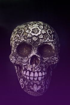 False bone skull on black background. Copy space