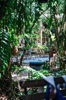 Table setting for a garden lunch