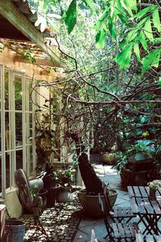 Table setting for a garden lunch