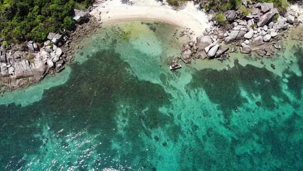 Bungalows and green coconut palms on tropical beach. Cottages on sandy shore of diving and snorkeling resort on Koh Tao paradise island near calm blue sea on sunny day in Thailand. Drone view