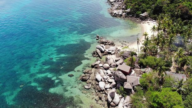 Bungalows and green coconut palms on tropical beach. Cottages on sandy shore of diving and snorkeling resort on Koh Tao paradise island near calm blue sea on sunny day in Thailand. Drone view