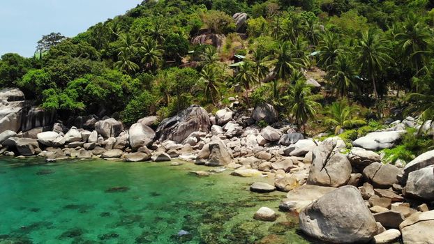 Tropical palms and stones on small beach. Many green exotic palms growing on rocky shore near calm blue sea in Hin Wong Bay on sunny day in Thailand. Koh Tao exotic paradise island