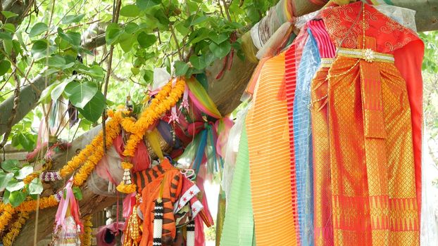 Colorful offering clothes on tree near altar. Bunch of bright traditional clothes as gift to Thai spirits hanging on tree branches near animist altar.